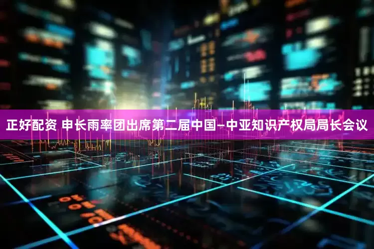 正好配资 申长雨率团出席第二届中国—中亚知识产权局局长会议
